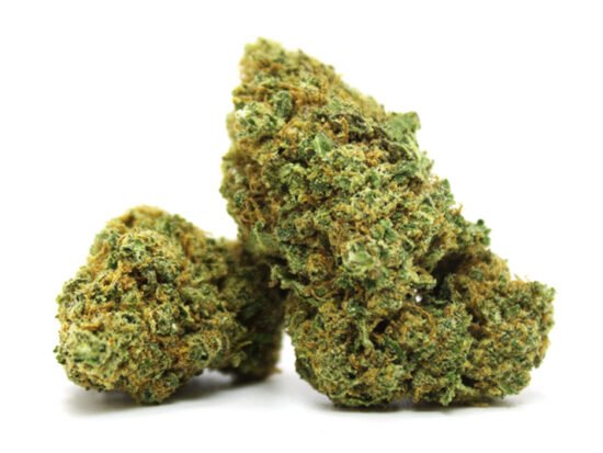 Chocolope CBD 25% - Schokoladiges Wohlbefinden 🍫